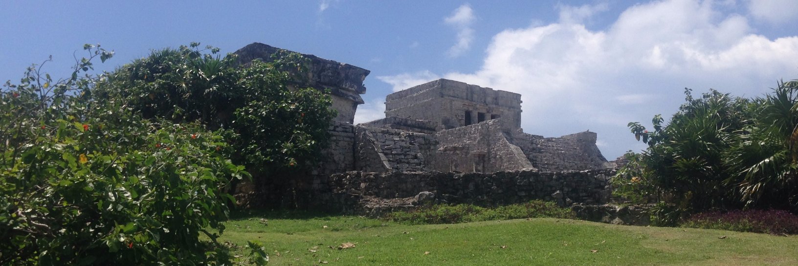 Heather Wadia banner