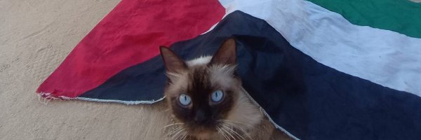 Dr_Mustafa5 Profile Banner