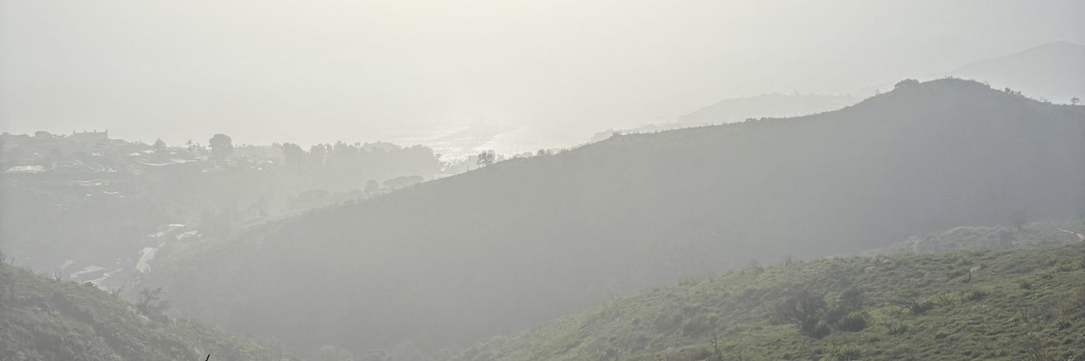 O.E banner