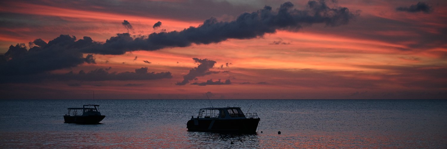 Jamie Pollock MD banner