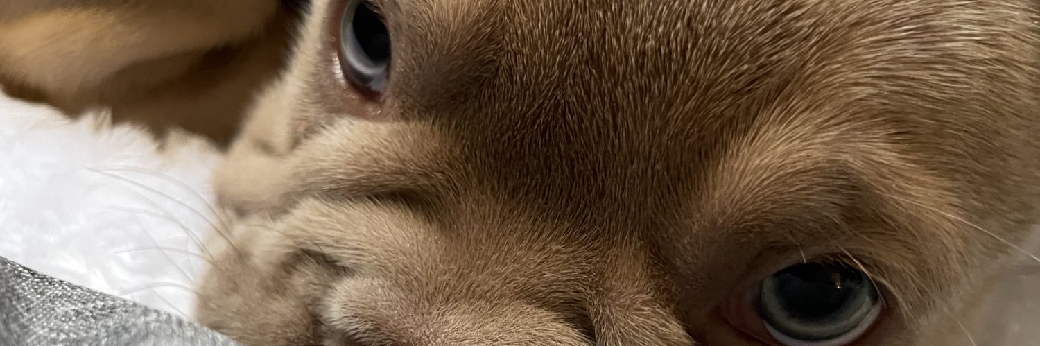 MiniGrodan🐸🇸🇪 banner