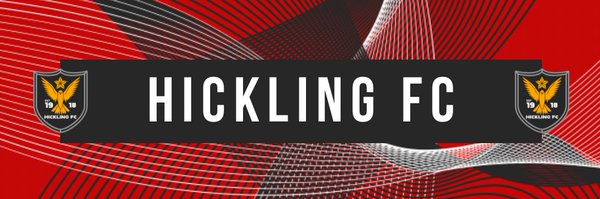 HicklingLadies Profile Banner