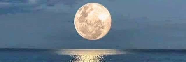 John Gilroy 🇨🇦🇺🇸 banner