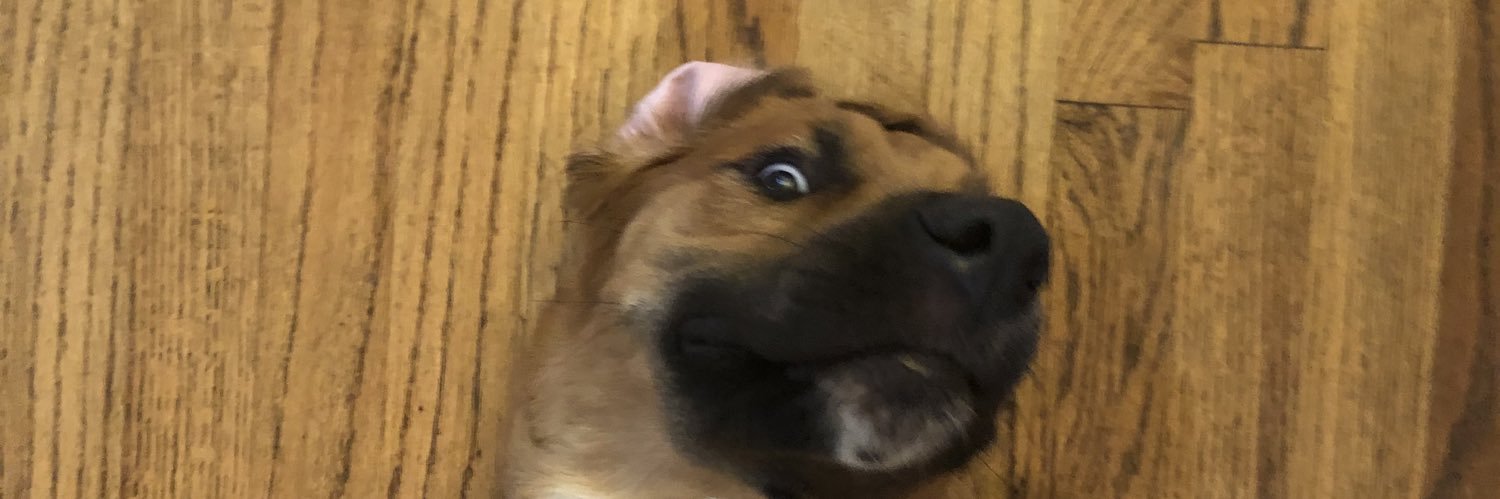 EricDLawrence's profile banner image