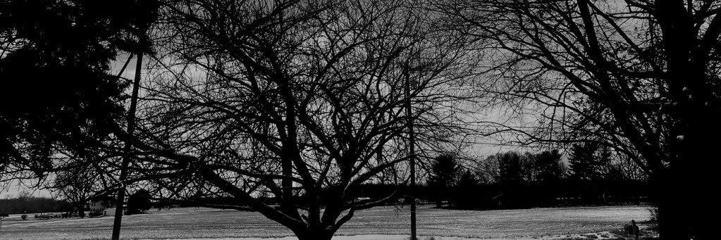 SmokenPopcyclez's banner