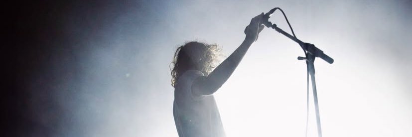 mr. pole creston banner