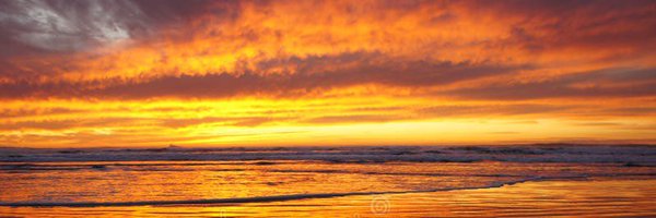 carlatcole Profile Banner