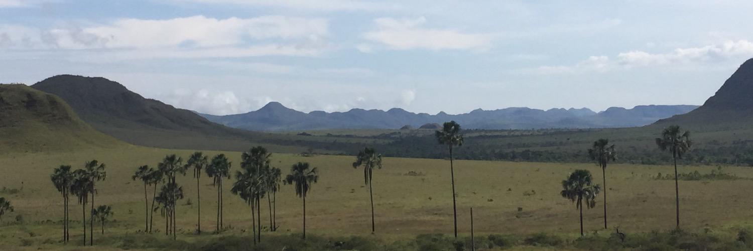 Rafaela Batista banner