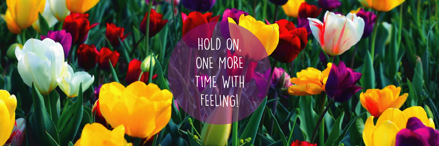 Maria Al Borde De Un Ataque De Nervios banner