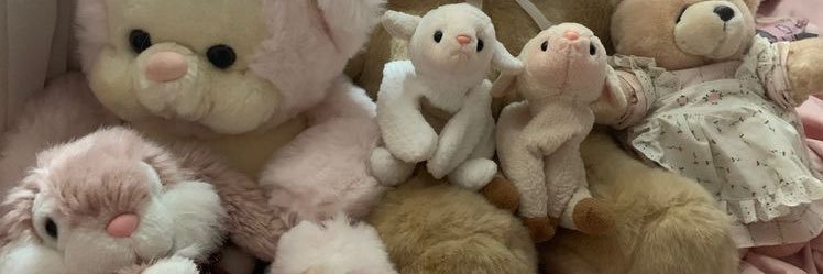 bella🐰(starvinggg) banner