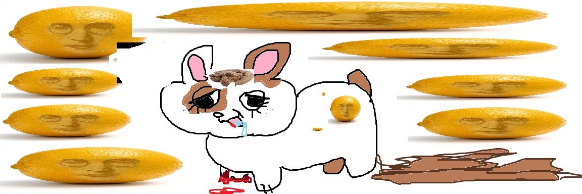 🪲//MACCA LENNON*✦ banner