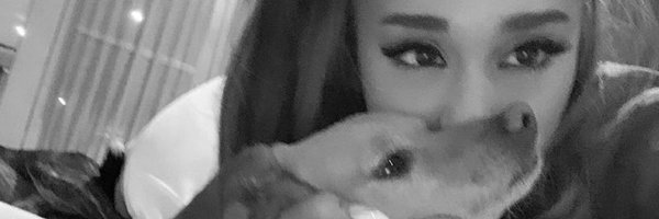 alexstarkeyy Profile Banner