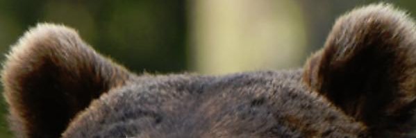Emiily_Anderson's profile banner image