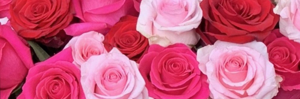 SydneyAugust's profile banner image