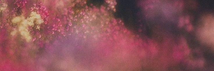 gigibs⁷🪷 banner
