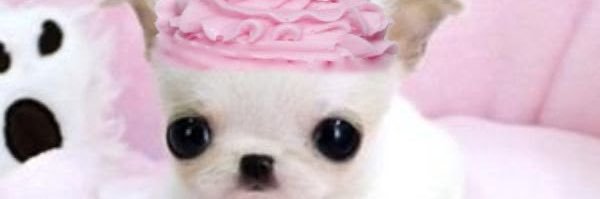 minkioptions's profile banner image