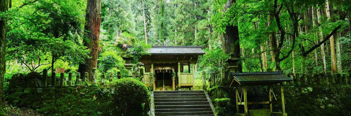 森のフォトスタジオ〜丹波〜 banner