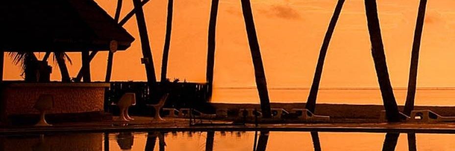 Crypt0Champ's profile banner image