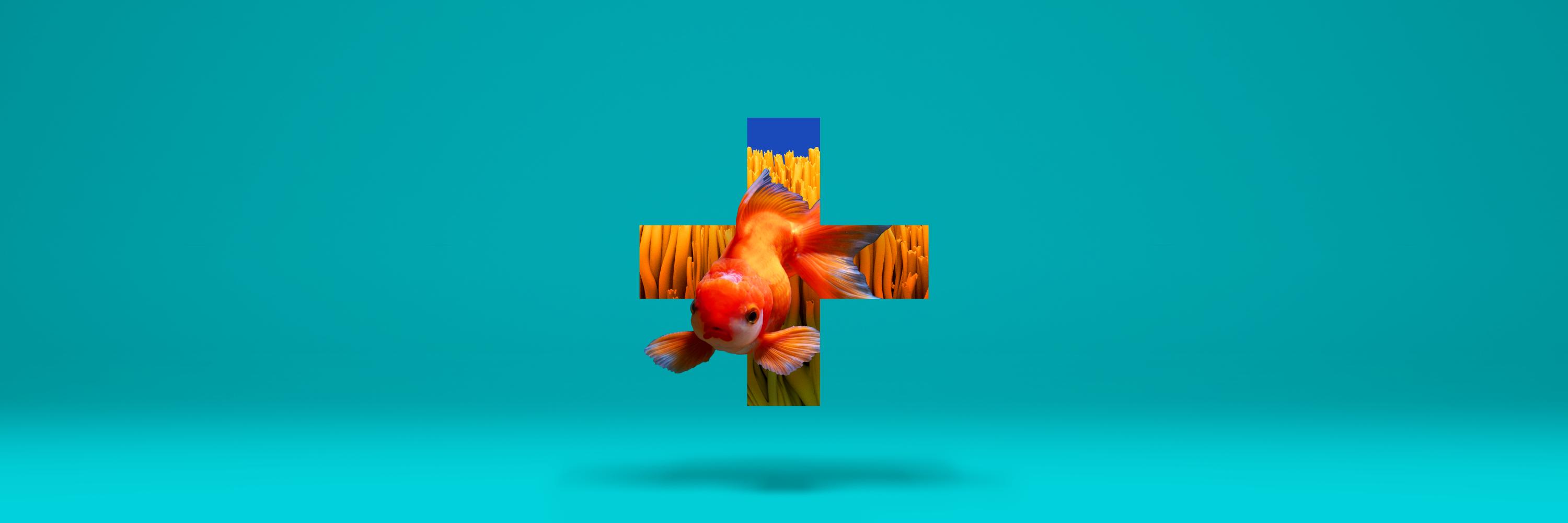 WunThompsonNZ's profile banner image