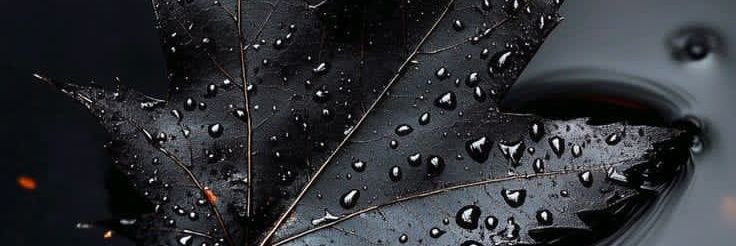 X4Mutual's profile banner image