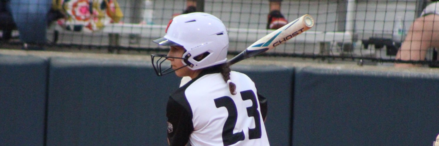 lillyferg23 banner