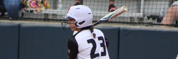 lillyferg23 Profile Banner