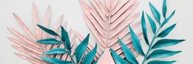 STEPHYNEJU's profile banner image