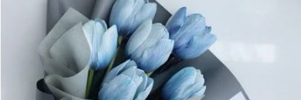 I_m_Marwa Profile Banner