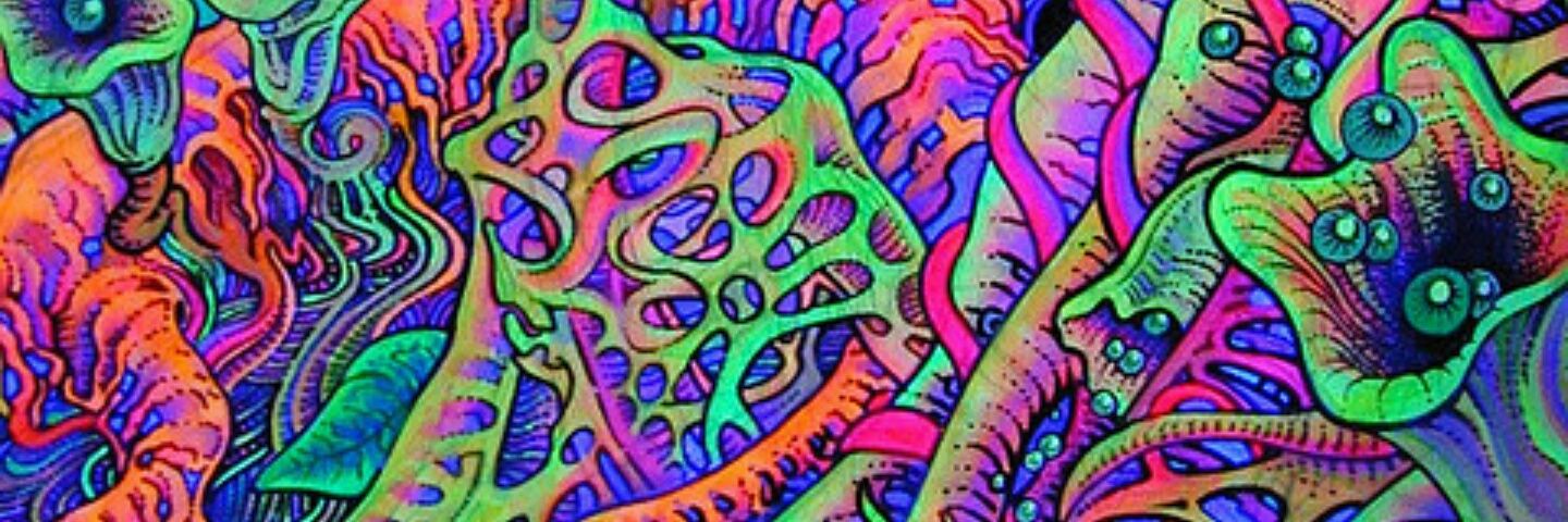 Nicolerolf123's profile banner image