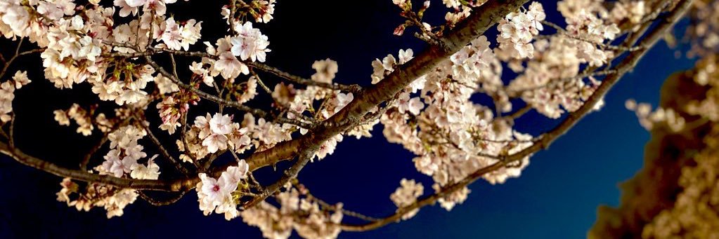 源's banner