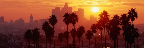 blessedforsuree's profile banner image