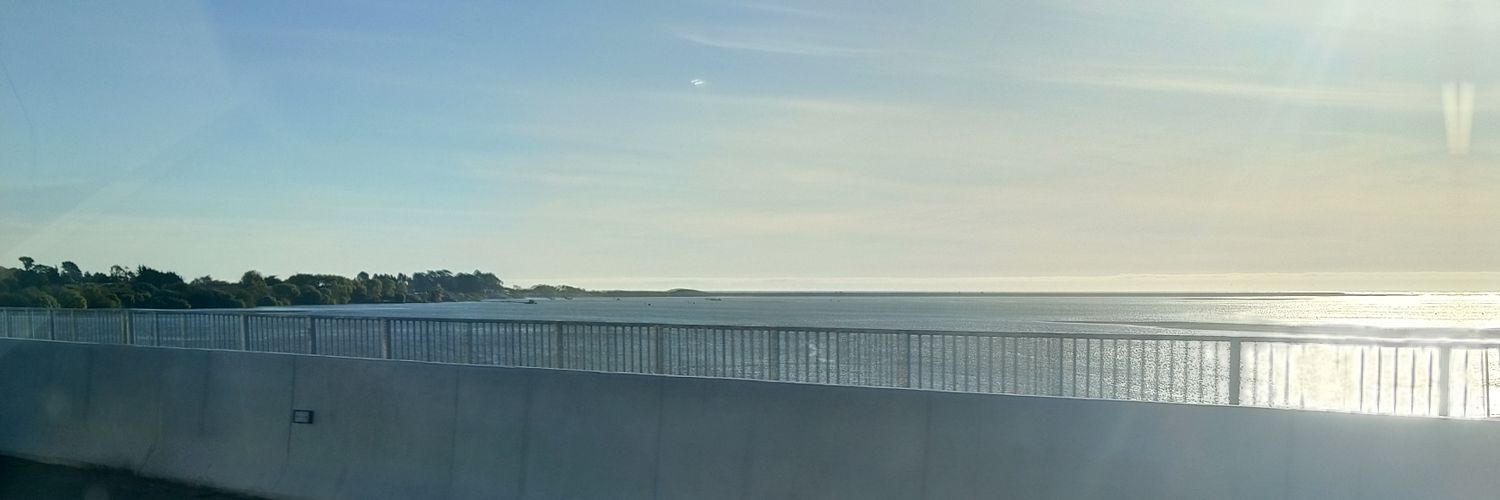 Carolina Martínez Ebner banner