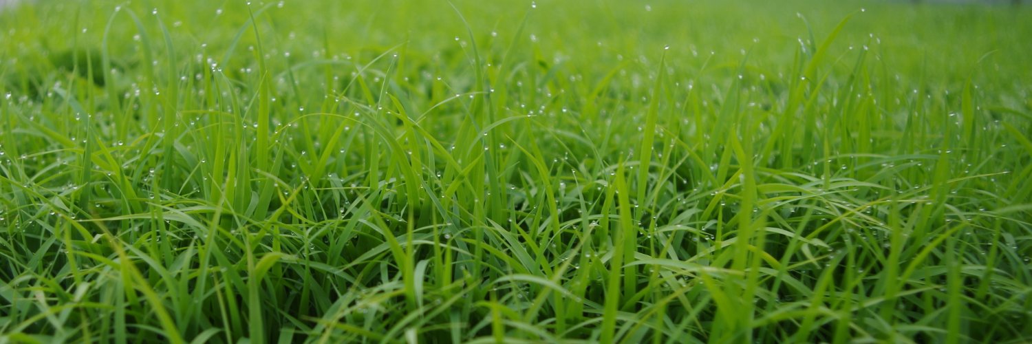 せきとも【Twitch】 banner