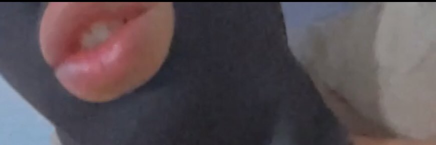 🏳️‍🌈Mo.gfg banner
