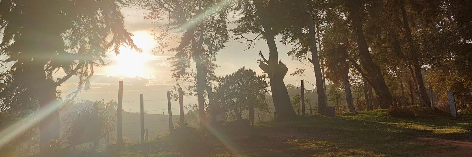 Ale_aa12's profile banner image