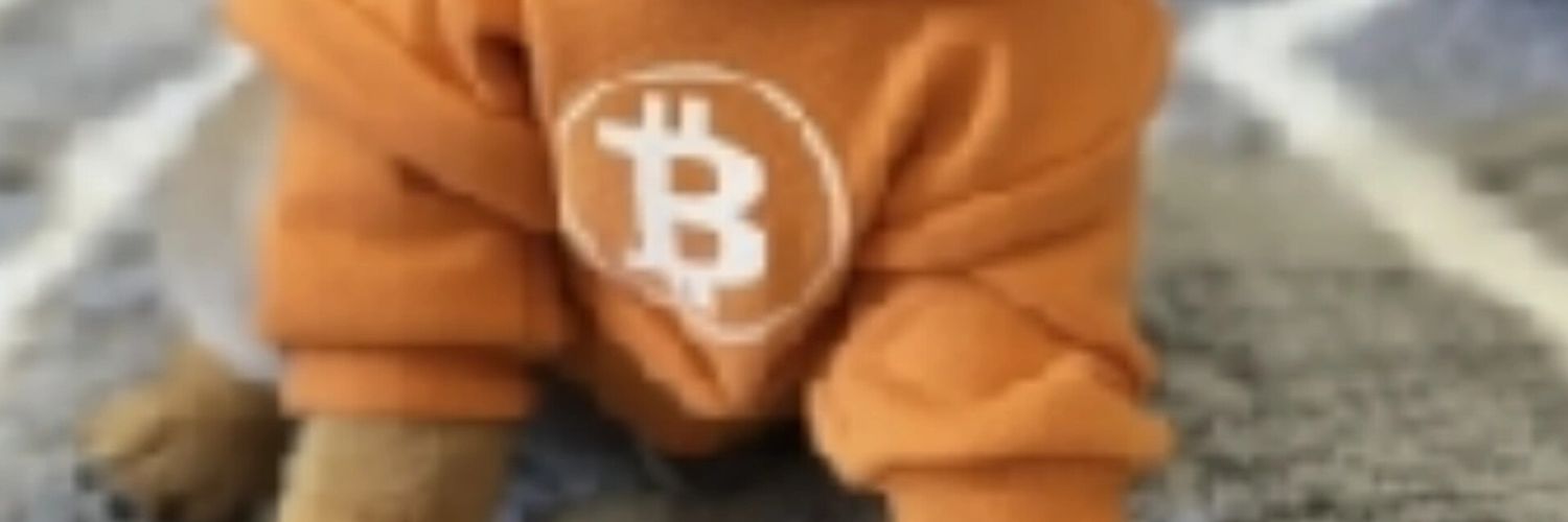Dog (Bitcoin) Portugal banner