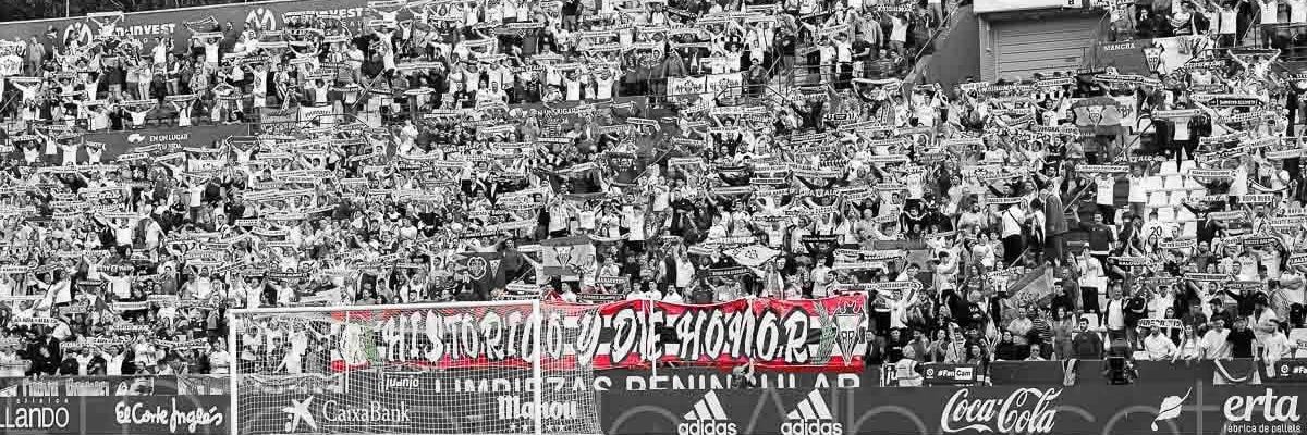 ABP FANS's banner