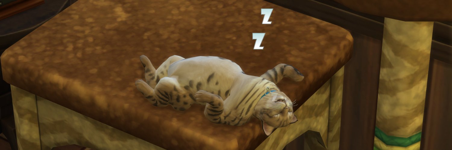 simsiesen's profile banner image