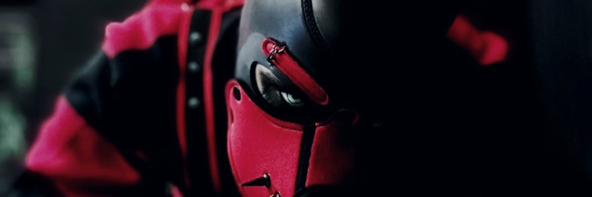 pupsaber666's profile banner image
