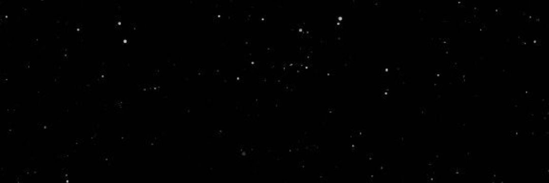 f banner