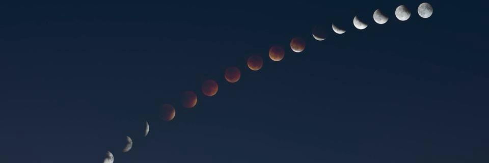JerseyCheeba's profile banner image