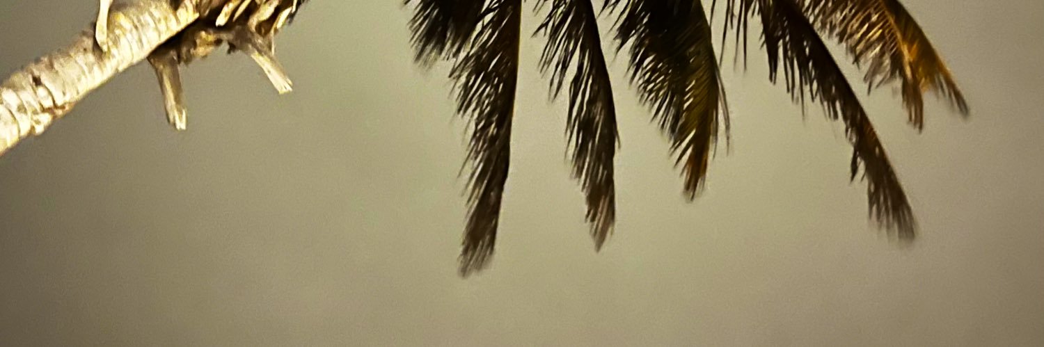 ritandrea's profile banner image