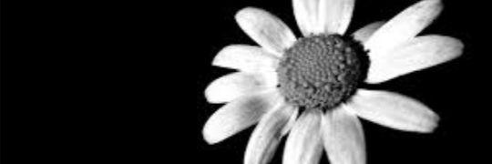 F banner