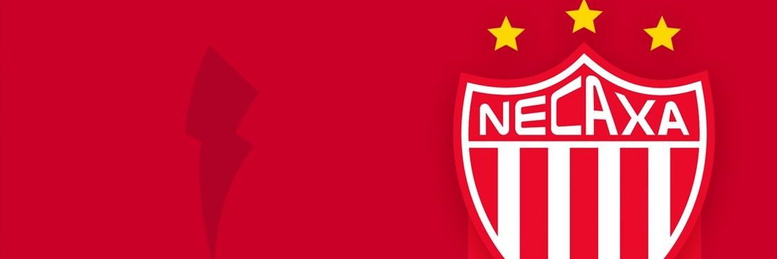 noel.luis's banner
