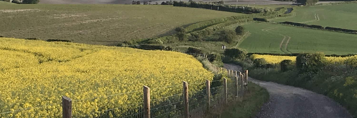 Peter Mackness banner