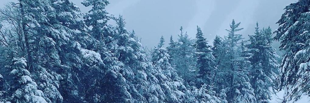 JuliaPacetti's profile banner image