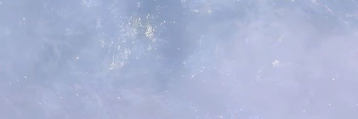 たま@取引 banner