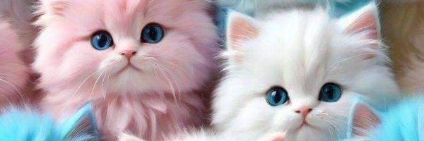 129_lin Profile Banner