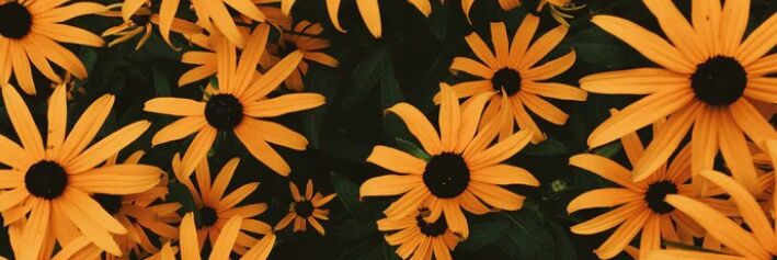 Julissajs_'s profile banner image