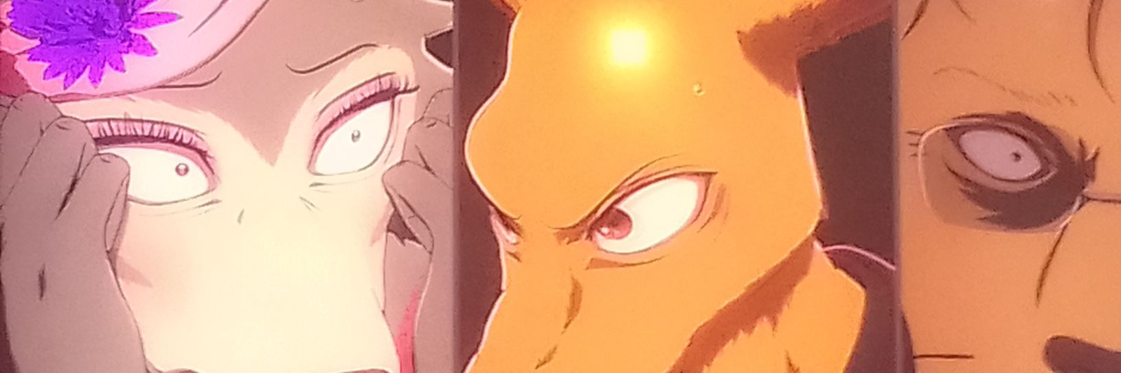 Roxanwa banner